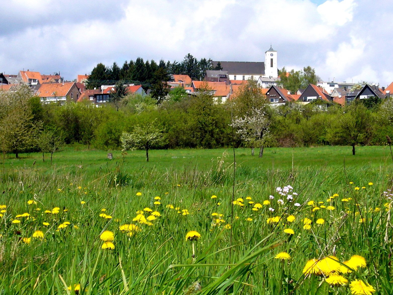 Rund ums Bürgerzentrum